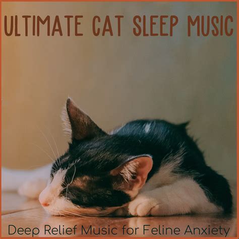 cat sleep music|More.